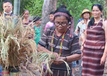 Chị em Chơro góp phần bảo tồn Lễ hội Sayangva của dân tộc