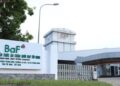 BaF Việt Nam lên kế hoạch lãi 306 tỷ đồng, nâng gấp đôi công suất nuôi heo