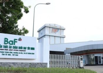 BaF Việt Nam lên kế hoạch lãi 306 tỷ đồng, nâng gấp đôi công suất nuôi heo
