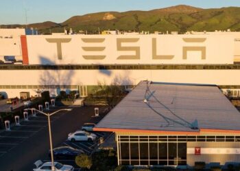 Tesla ra mắt taxi tự lái vào tháng 8/2024