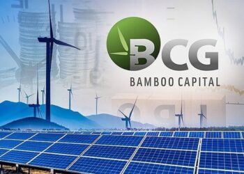 Bamboo Capital đặt mục tiêu có lãi gần nghìn tỷ, tăng vốn lên hơn 8.800 tỷ đồng