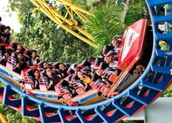 Chủ quản công viên Đầm Sen có lãi trở lại