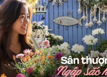 Khu vườn trên sân thượng “gây sốt”: Cô giáo Tiếng Anh khẳng định không sai lầm khi chi tiền tỷ mua nhà mặt đất để có khuôn viên trồng hoa