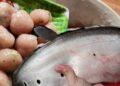 Cùng họ cá rồng nhưng số phận hẩm hiu, chỉ để lợn ăn; dân quê dùng 1 chiêu, người thành phố “phát cuồng”