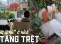 Không ngại mua nhà tầng trệt chung cư, nhiều người biến sân vườn thành chốn “bồng lai tiên cảnh” để hưởng thụ cuộc sống