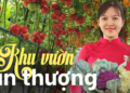 Mẹ đảm mê trồng cây sân thượng: Rau củ ăn quanh năm không hết phải mang tặng, vườn đẹp đến nỗi đồng nghiệp lẫn học sinh mầm non đến check-in