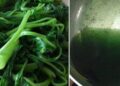 Nước luộc chuyển màu xanh đậm, có phải rau muống nhiễm chì?