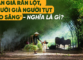 ‘Rắn già rắn lột, người già người tụt vào săng’: Từ ‘săng’ trong thành ngữ này nghĩa là gì?