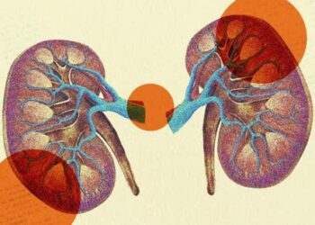 4 dấu hiệu cho thấy thận bắt đầu suy hỏng: Có 1 cũng cần đi khám ngay