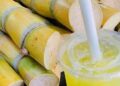 Uống nước mía không hợp vệ sinh, bạn đã vô tình “mời” vi khuẩn nguy hiểm này vào cơ thể