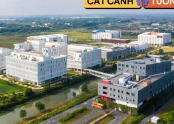 1 trường ĐH công lập nhưng giảng dạy hoàn toàn bằng tiếng Anh: Kinh phí đầu tư hơn 4.000 tỷ đồng, học phí dưới 90 triệu/năm, 95% sinh viên tốt nghiệp có việc làm