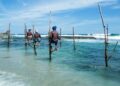Thiên đường du lịch Maldives bị tẩy chay vì quan chức “vạ miệng”, một quốc đảo hưởng lợi bất ngờ khi du khách tới từ quốc gia đông dân nhất thế giới tăng gấp 3