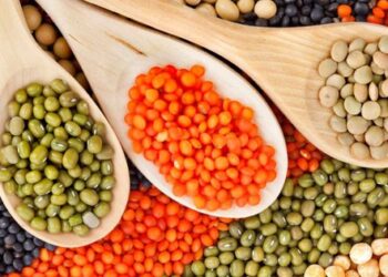 Loại đậu được coi là “thịt không xương”, giàu đạm nhưng lại không làm tăng cholesterol, chứa chất béo tốt