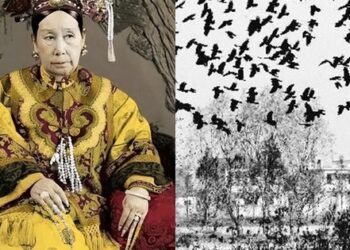 Hiện tượng lạ xuất hiện đúng vào ngày Từ Hi Thái hậu chào đời, hoàng đế Quang Đạo lầm tưởng là điềm lành nên tổ chức yến tiệc ăn mừng: Hậu quả gần 80 năm sau nhà Thanh diệt vong