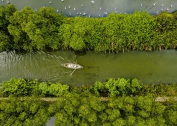 Phát hiện điểm du lịch sông nước độc lạ tại thành phố biển, du khách ca ngợi như một “miền Tây thu nhỏ”