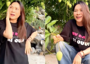 Mỹ Tâm flex điều “độc nhất vô nhị” bên trong khu nhà sân vườn từng lộ hint thả diều với Mai Tài Phến
