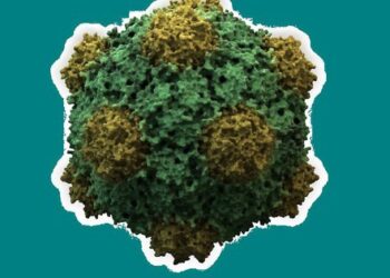 Một virus thực vật có tiềm năng chặn ung thư di căn