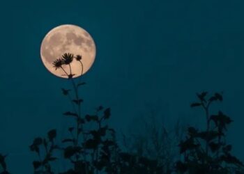 Ngắm ‘Trăng hoa’, trăng tròn gần một ngôi sao siêu khổng lồ đỏ