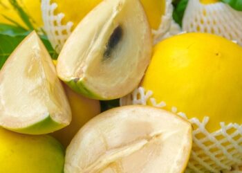 Loại quả ngọt mọng tốt ngang nhân sâm, chỉ duy nhất Việt Nam xuất khẩu trên thế giới: Vừa hạ đường huyết, vừa bơm máu hiệu quả