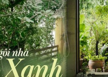 Ngôi nhà được bao quanh bởi 3 khu vườn xanh mát, nắng nóng đến mấy cũng không cần bật điều hòa