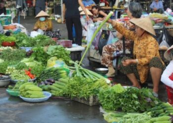 Ai bảo Nam Định rẻ, nhà tôi thu nhập 15 triệu, chi tiêu cho 4 người/tháng vẫn không để được ra đồng nào!