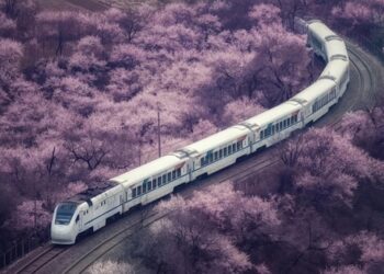 Hình ảnh đoàn tàu chạy vào biển hoa gây sốt cõi mạng Trung Quốc: Tưởng sản phẩm AI, nhưng là cảnh thật rất nổi tiếng