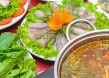 Đặc sản lẩu cá khoai Quảng Bình thơm ngon nức tiếng