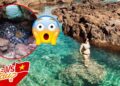 Bí kíp “mạnh khoẻ” khi đi Phú Quý: Cẩn thận với rắn độc, “sống ảo” cũng cần chú ý nhiều vấn đề