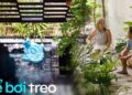 Cặp vợ chồng xây nhà có thiết kế bể bơi treo siêu độc đáo, giành giải thưởng căn nhà của năm