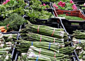 Loại rau “nữ hoàng chất đạm”, ngừa ung thư và tốt cho đường ruột, sinh lý