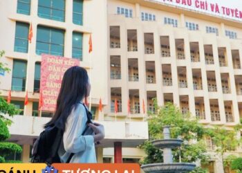 1 ngành học đang cần hơn 21.000 nhân sự mỗi năm: Điểm chuẩn luôn nằm trong top, phù hợp với người hướng ngoại, ra trường không lo thiếu việc