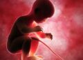 Bê bối chưa từng có ở ngân hàng máu cuống rốn trải rộng khắp châu Á: Cha mẹ phải chi trả bao nhiêu cho dịch vụ này?