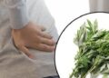Loại dược liệu dân gian có trong vườn nhà, chữa đau xương khớp hiệu quả