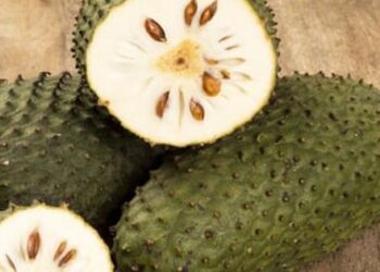 Công dụng chữa bệnh của mãng cầu xiêm