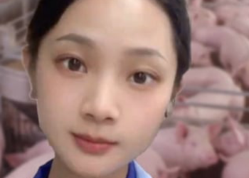 Nữ cử nhân gây sốt mạng khi bỏ công việc văn phòng về quê nuôi lợn