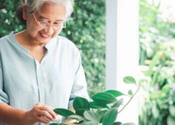 65 tuổi, tôi phát hiện 4 cách hay để tuổi già vui khoẻ, không sống cùng con cái vẫn mãn nguyện