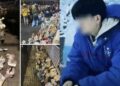 Vụ ‘Mèo Béo’ 21 tuổi tự tử vì tình: Trên đời này, sinh mạng là quý giá nhất, mong mỗi người đều học cách biết yêu thương chính mình!
