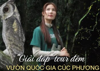 Ban quản lý của Vườn quốc gia Cúc Phương nói gì khi dân tình lo lắng về mức độ an toàn của tour đêm đang cực hot?