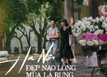 Hà Nội những ngày lá vàng rụng: Giữa hè mà ngỡ cuối thu, trời đất đẹp ngỡ ngàng chỉ có thể là “thích mê”