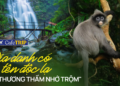 Không phải Cúc Phương, đây mới là vườn quốc gia view ‘triệu đô’ cách không xa Hà Nội: Mỹ cảnh nguyên sơ, không khí mát như tủ kem, giá vào cửa rẻ bèo