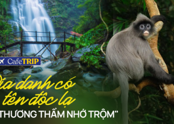 Không phải Cúc Phương, đây mới là vườn quốc gia view ‘triệu đô’ cách không xa Hà Nội: Mỹ cảnh nguyên sơ, không khí mát như tủ kem, giá vào cửa rẻ bèo