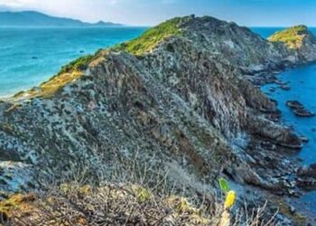 Mũi Vi Rồng – kiệt tác thiên nhiên ban tặng cho miền đất võ