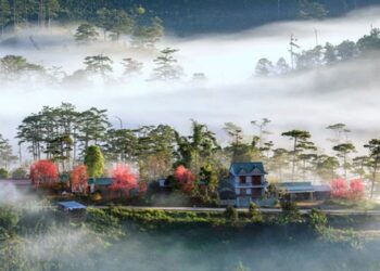 Phát hiện ngôi làng ẩn mình trong sương, là bối cảnh phim của nhà sản xuất Việt nghìn tỷ, ngay gần Đà Lạt