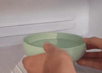 Cho một bát nước vào tủ lạnh và để qua đêm: Hành động nhỏ nhưng cực hữu ích, EVN cũng khuyên thực hiện