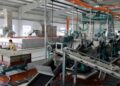 Doanh nghiệp cao su tận dụng lợi thế giá tăng