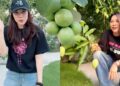 Mỹ Tâm khiến dân mạng “mắt tròn mắt dẹt” khi “flex” khu vườn siêu trái: Cây táo 2000 trái mọc như nho, xoài mọc sà xuống tận sát mặt đất