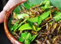 1 món ăn “đặc sản” vào mùa: Người Việt mê tít nhưng tiềm ẩn nguy cơ bệnh tật, có thể gây tử vong