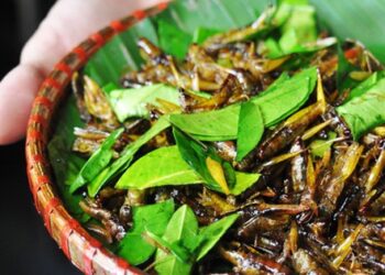 1 món ăn “đặc sản” vào mùa: Người Việt mê tít nhưng tiềm ẩn nguy cơ bệnh tật, có thể gây tử vong