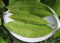1 loại lá vứt đầy ngoài chợ Việt là “thuốc kiểm soát đường huyết”, ngăn tăng lipid máu, còn hỗ trợ giảm cân hiệu quả