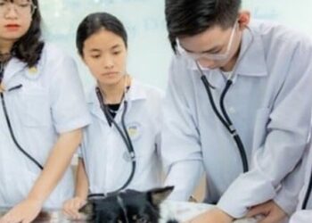 Mức lương ngành Thú y cho sinh viên vừa ra trường thế nào?